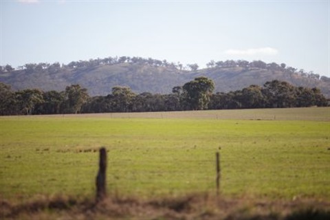 Loddon Council property for sale.jpg