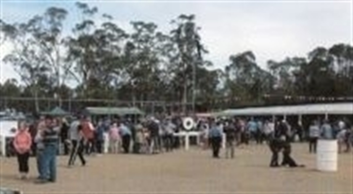 149th Rheola Charity Carnival