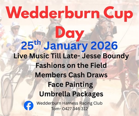 Wedderburn Cup Day Harness Racing.jpg