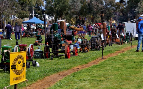 wedderburn rally .jpg