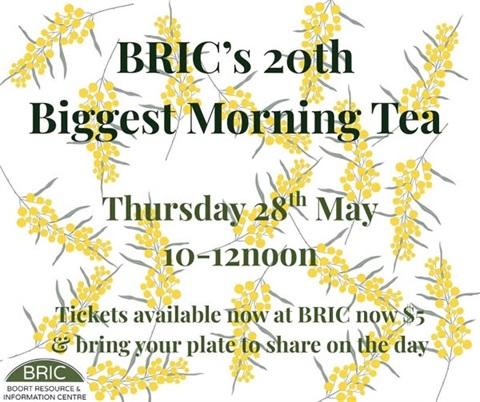 BRICs Biggest Morning Tea.jpg