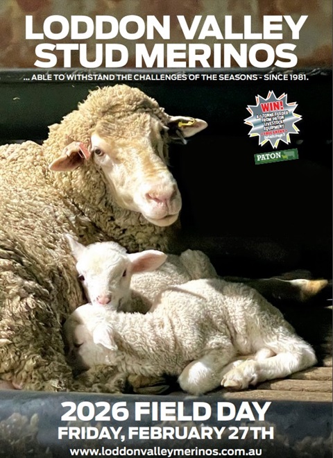 Loddon Valley Stud Merinos 2026 Field Day.jpg