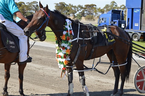 Boort Cup Winner.jpg